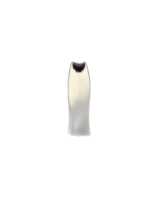 bottle, jewelry, dress, staff transparent PNG cut-out