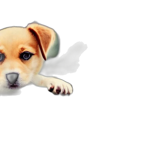 animal, staff, creature, photorealistic transparent PNG cut-out