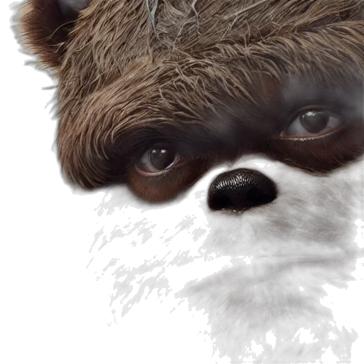 animal, creature, face, mask transparent PNG cut-out