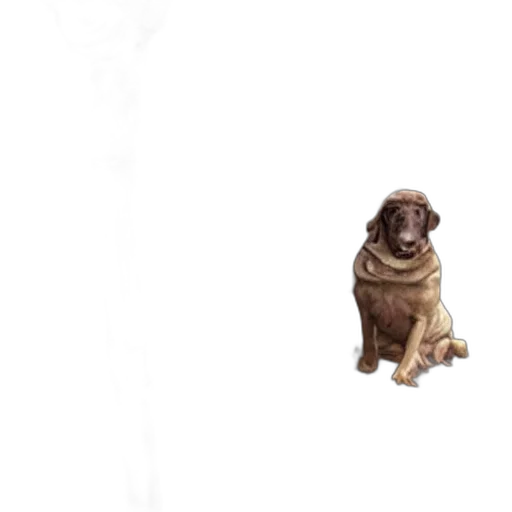 animal, creature, staff, food transparent PNG cut-out