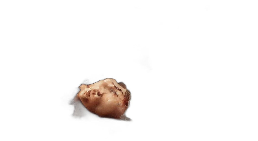 face, mask, creature, hair transparent PNG cut-out