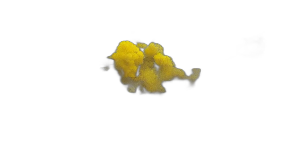 flower, food, crown, hair transparent PNG cut-out