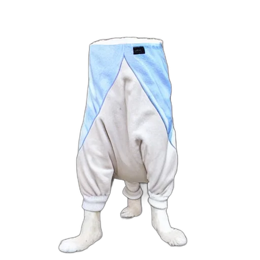 jacket, 3d render, concept art, vaporwave, dog, pants transparent PNG cut-out