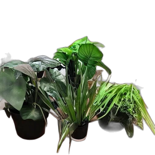 crown, hat, mask, hair, 3d render, photorealistic, concept art, green transparent PNG cut-out