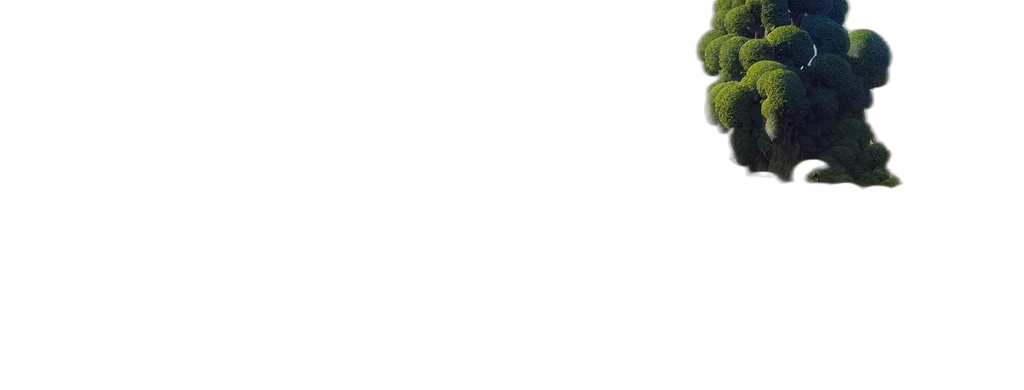 staff, weapon, hat, crown transparent PNG cut-out