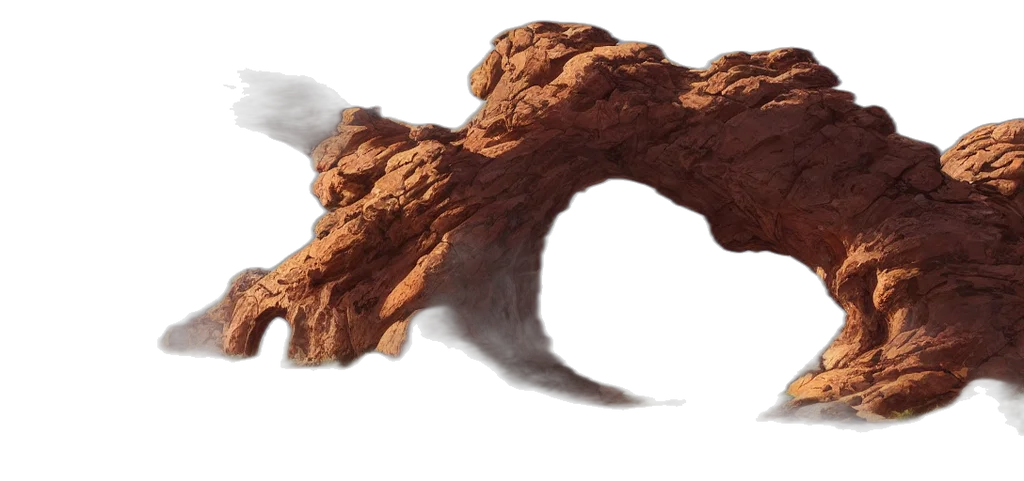 dragon, hair, animal, creature transparent PNG cut-out