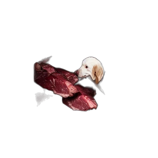 food, jewelry, animal, shoes, photorealistic, concept art, 3d render, pixel art transparent PNG cut-out