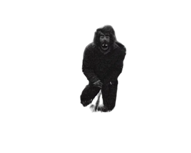 animal, creature, jacket, staff, concept art, photorealistic, archive, footage transparent PNG cut-out