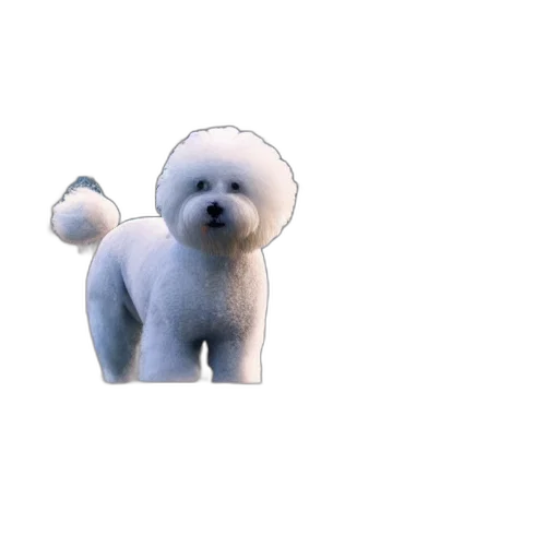 animal, creature, staff, face transparent PNG cut-out