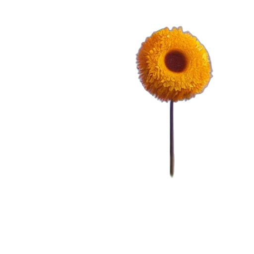 flower, staff, food, jewelry, 3d render, photorealistic, golden, giant transparent PNG cut-out