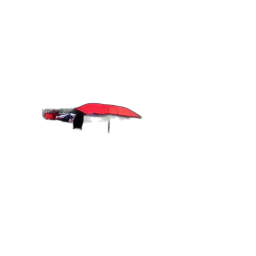umbrella, hat, staff, car transparent PNG cut-out