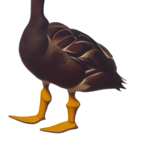 animal, creature, crown, food transparent PNG cut-out