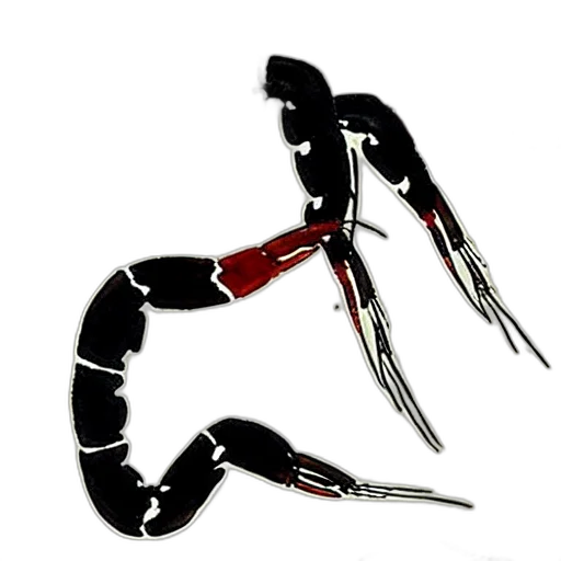 jewelry, staff, weapon, hair transparent PNG cut-out