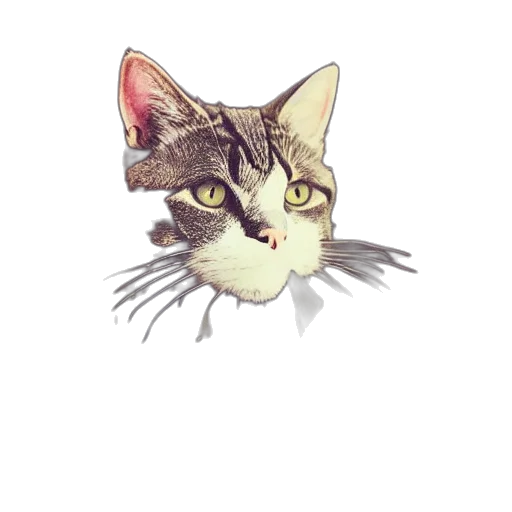 animal, face, staff, creature transparent PNG cut-out