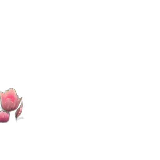 flower, creature, weapon, animal, pixel art, 3d render, concept art, vaporwave transparent PNG cut-out