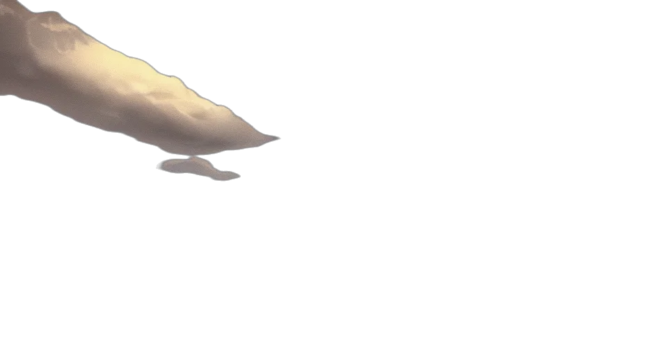 hat, hair, weapon, shoes transparent PNG cut-out