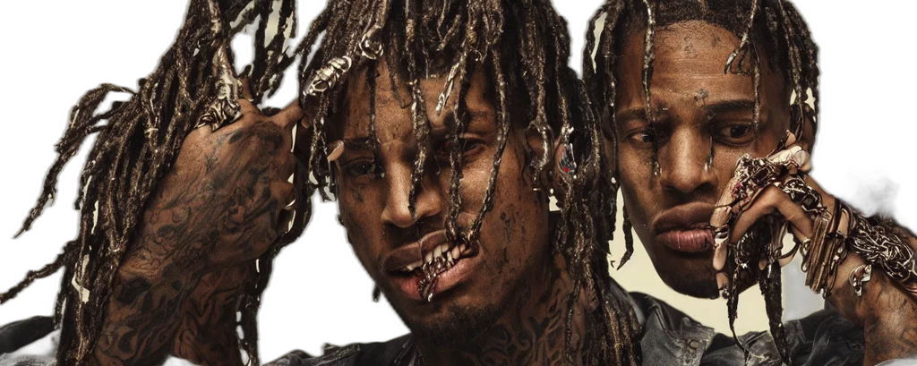hair, travis, scott, intricate, detailed, jaw, dropping, gorgeous transparent PNG cut-out