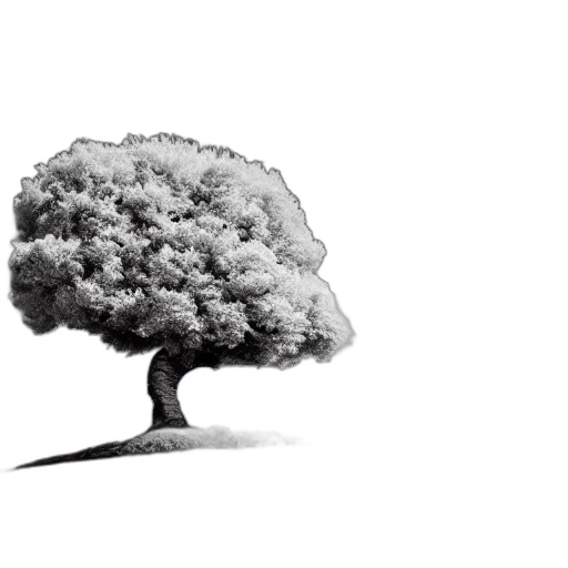 tree, crown, hair, umbrella, photorealistic, concept art, pencil sketch, 3d render transparent PNG cut-out