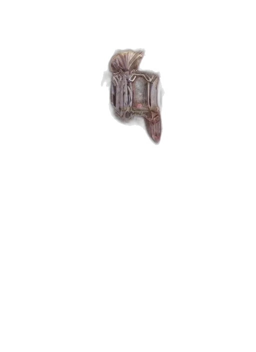 jewelry, crown, hat, furniture transparent PNG cut-out