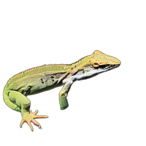 animal, dragon, creature, jewelry, photorealistic, 3d render, watercolor, concept art transparent PNG cut-out