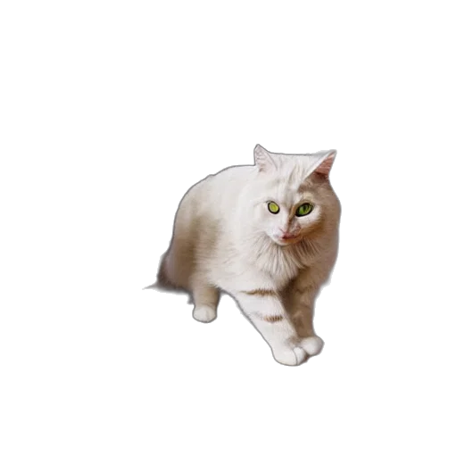 animal, creature, staff, robot transparent PNG cut-out