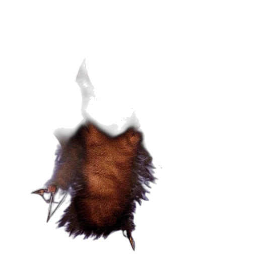 hair, dragon, mask, creature transparent PNG cut-out