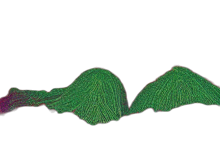 hair, hat, crown, mask, 3d render, photorealistic, pixel art, green transparent PNG cut-out