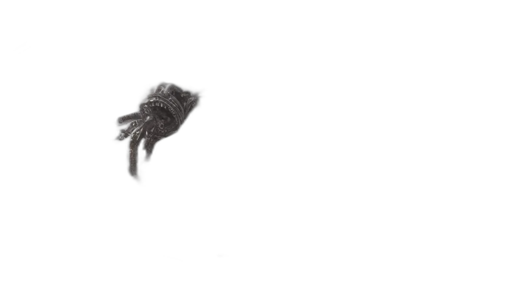 animal, hair, creature, dragon transparent PNG cut-out