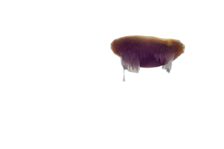hair, hat, crown, creature, 3d render, concept art, watercolor, photorealistic transparent PNG cut-out