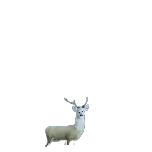animal, creature, crown, staff transparent PNG cut-out