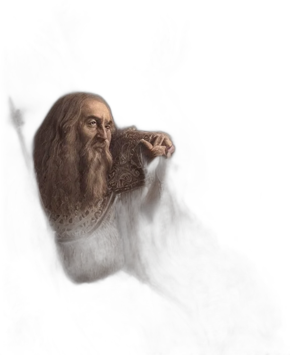 hair, creature, animal, face transparent PNG cut-out