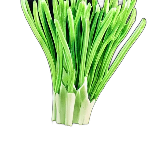 flower, food, crown, weapon, 3d render, photorealistic, green, neon transparent PNG cut-out
