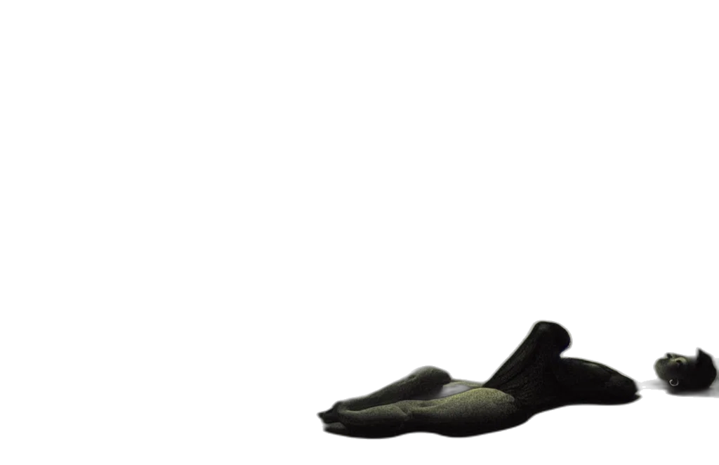 shoes, mask, animal, hat, 3d render, photorealistic, concept art, focal transparent PNG cut-out