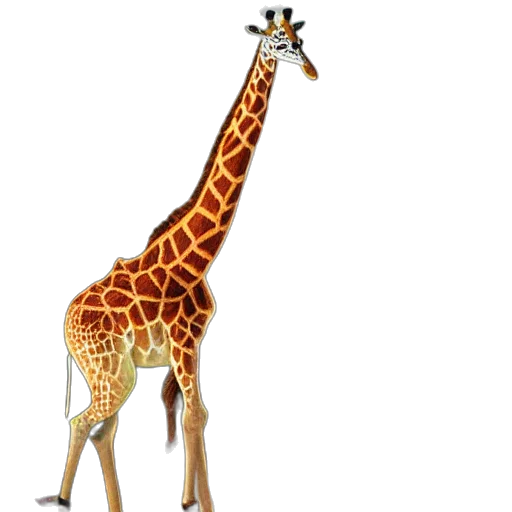animal, creature, staff, weapon transparent PNG cut-out