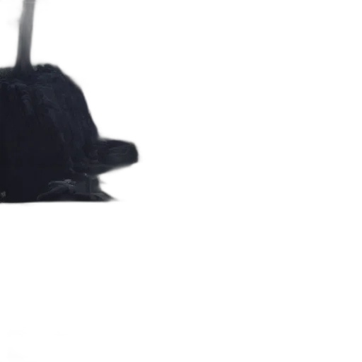 hat, staff, crown, jacket transparent PNG cut-out