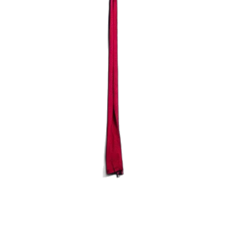 staff, umbrella, sword, hat, 3d render, photorealistic, red, fabric transparent PNG cut-out