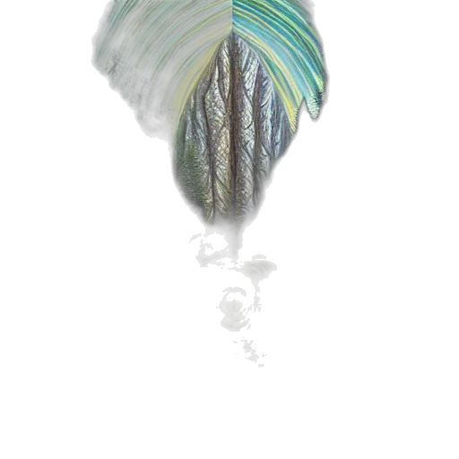 hair, umbrella, jewelry, hat transparent PNG cut-out
