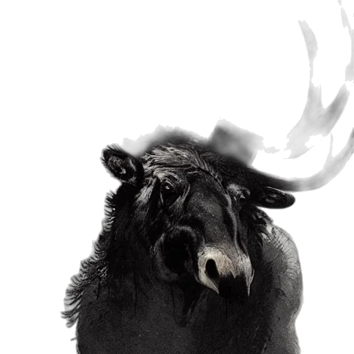 animal, crown, creature, mask, photorealistic, concept art, fantasy art, 3d render transparent PNG cut-out