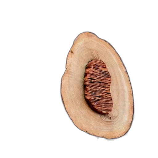 tree, hair, food, hat transparent PNG cut-out