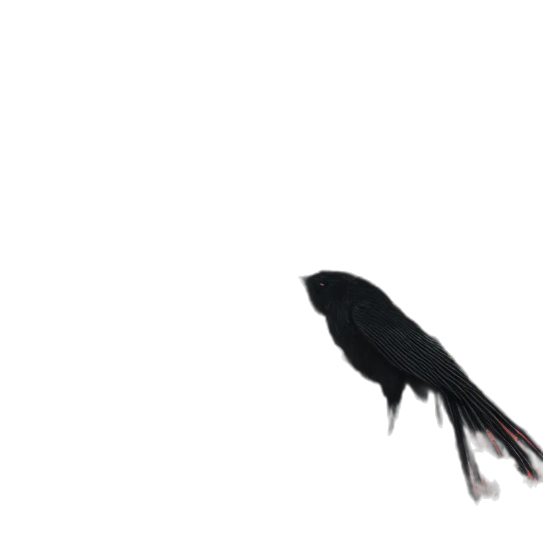 animal, creature, hair, dragon, concept art, 3d render, photorealistic, pixel art transparent PNG cut-out