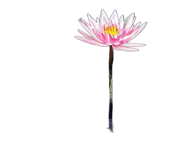 flower, staff, weapon, jewelry, photorealistic, 3d render, pixel art, concept art transparent PNG cut-out