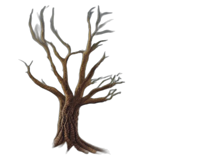 tree, hair, crown, creature transparent PNG cut-out