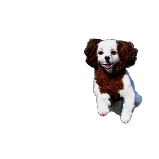 animal, staff, creature, jacket, 3d render, photorealistic, pixel art, oil painting transparent PNG cut-out