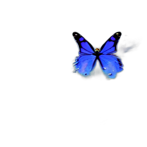 animal, creature, flower, jewelry transparent PNG cut-out