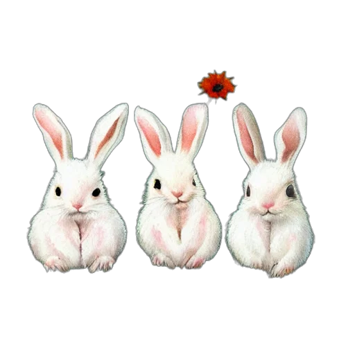 animal, photorealistic, 3d render, pixel art, concept art, cute, baby, bunnies transparent PNG cut-out