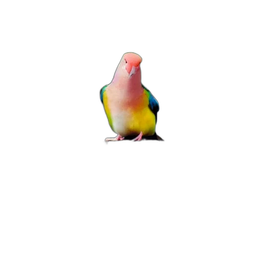 animal, creature, jewelry, staff, 3d render, vaporwave, watercolor, pixel art transparent PNG cut-out