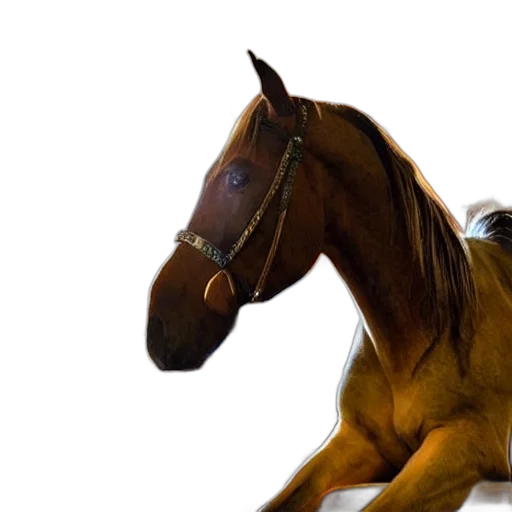 animal, creature, hair, staff transparent PNG cut-out