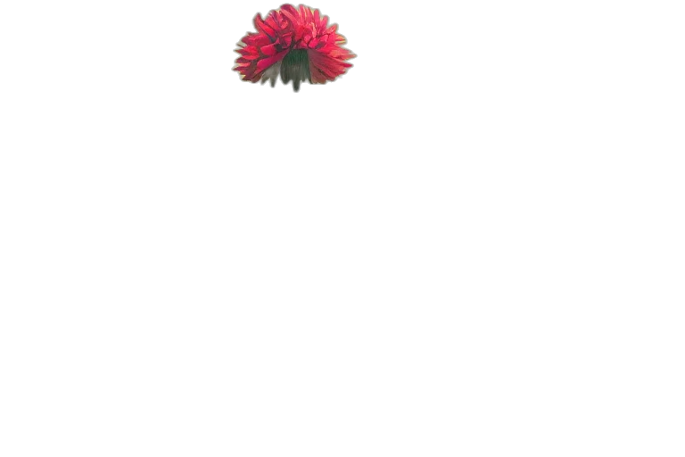 flower, crown, hair, animal, 3d render, pixel art, photorealistic, concept art transparent PNG cut-out