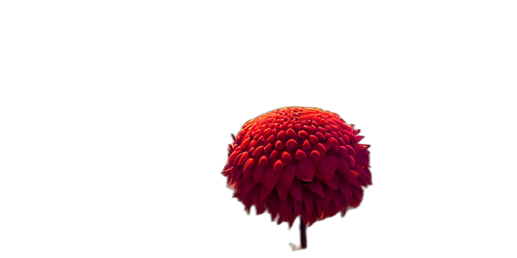 flower, umbrella, crown, hat, 3d render, photorealistic, concept art, red transparent PNG cut-out