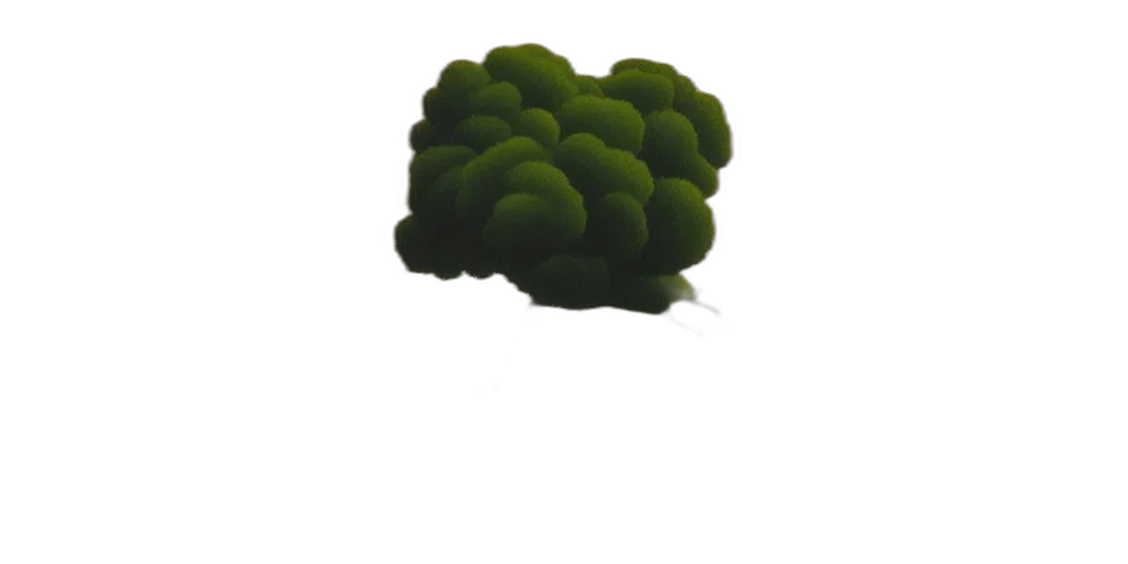 crown, tree, food, hat transparent PNG cut-out